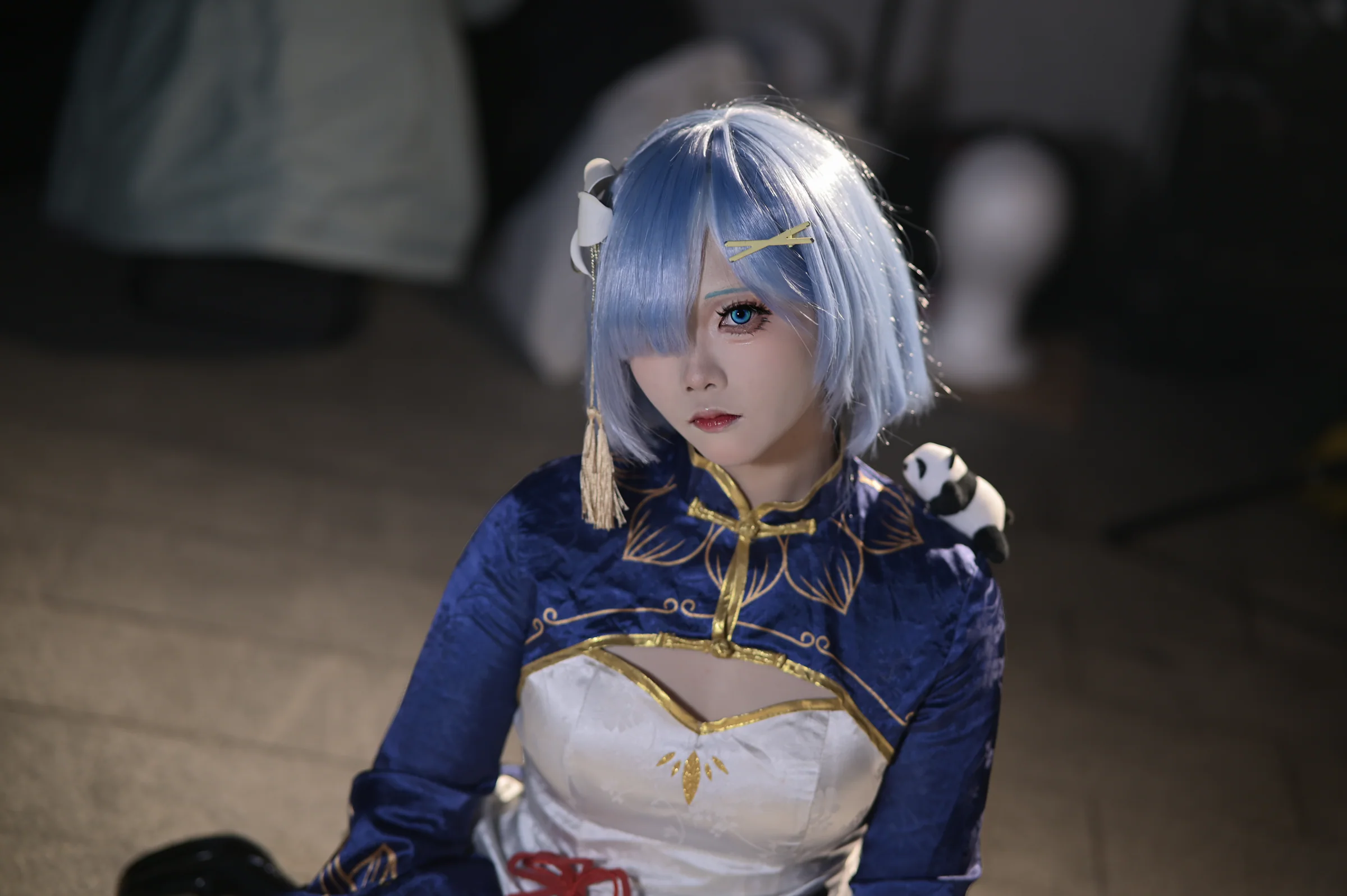 蕾姆 组图 8