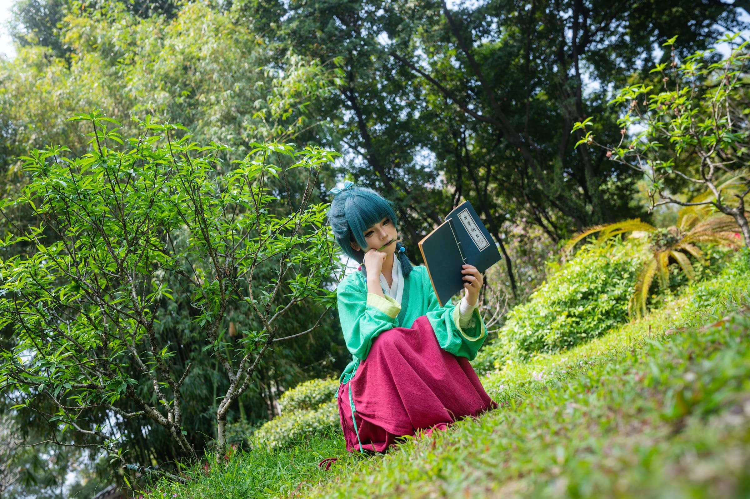 药屋少女的呢喃 组图 7