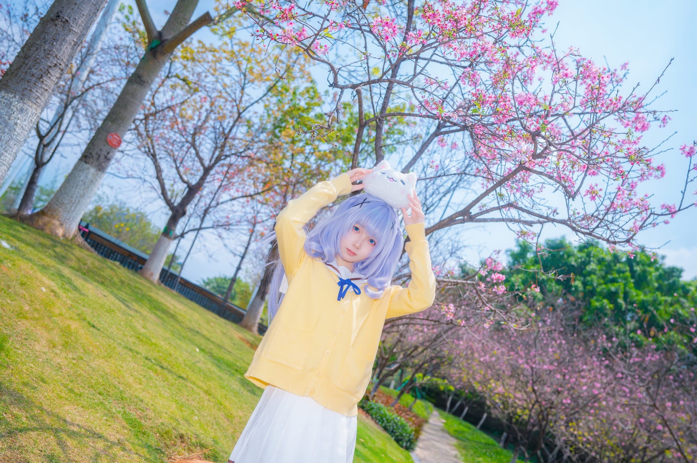 香风智乃 组图 3