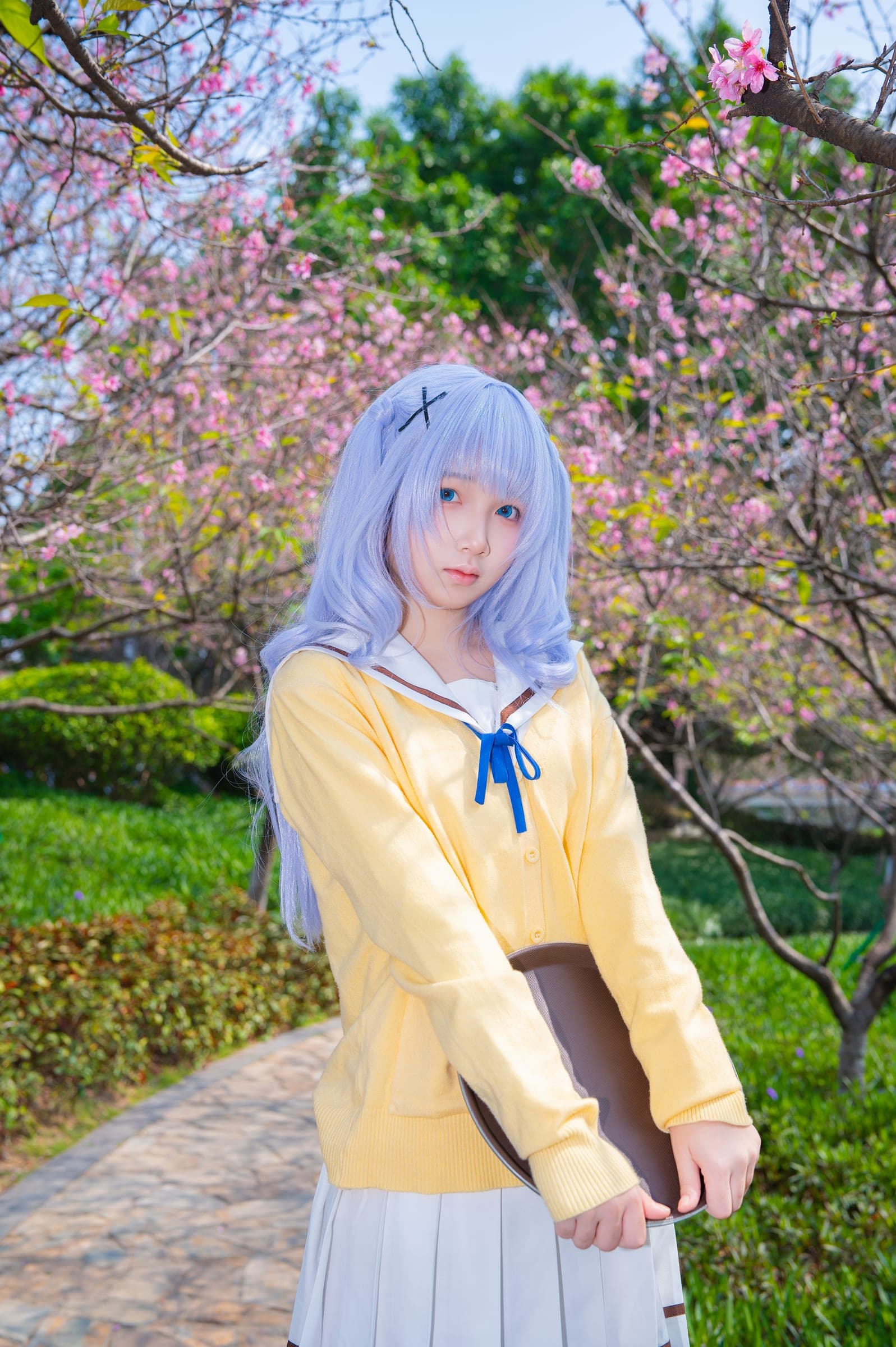香风智乃 组图 5
