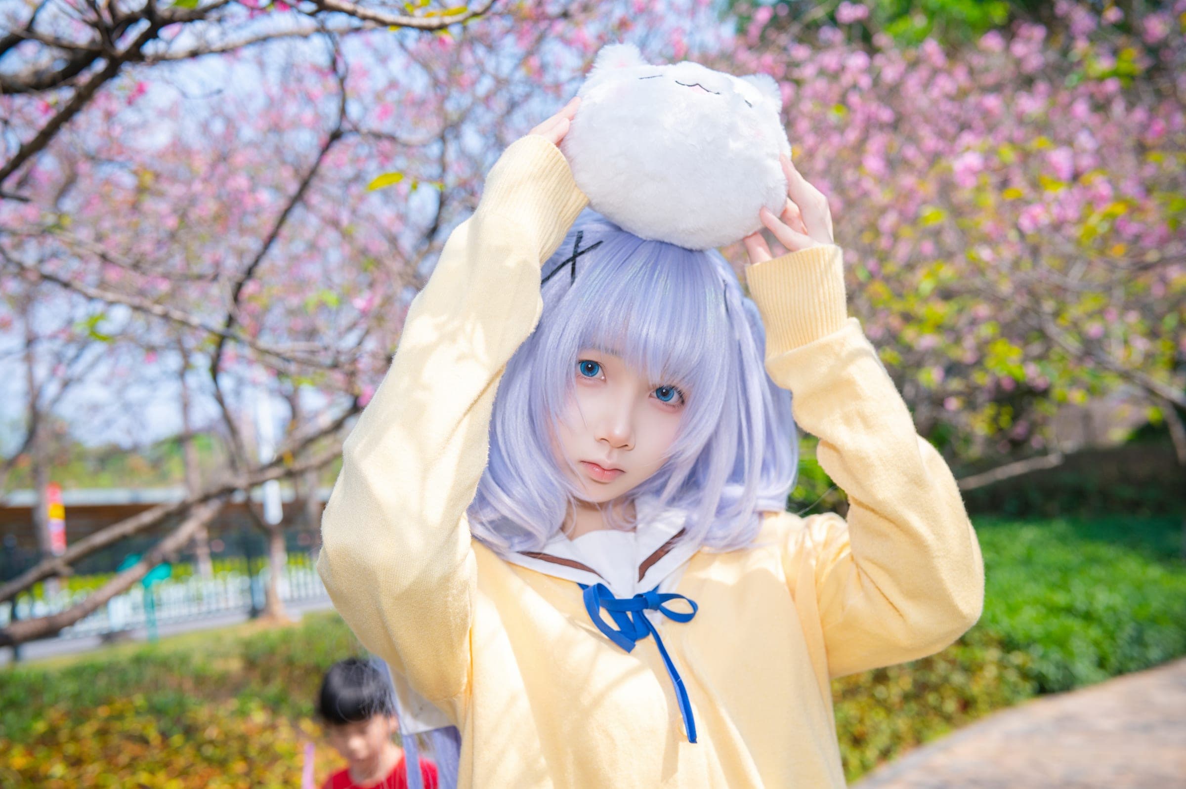 香风智乃 组图 7