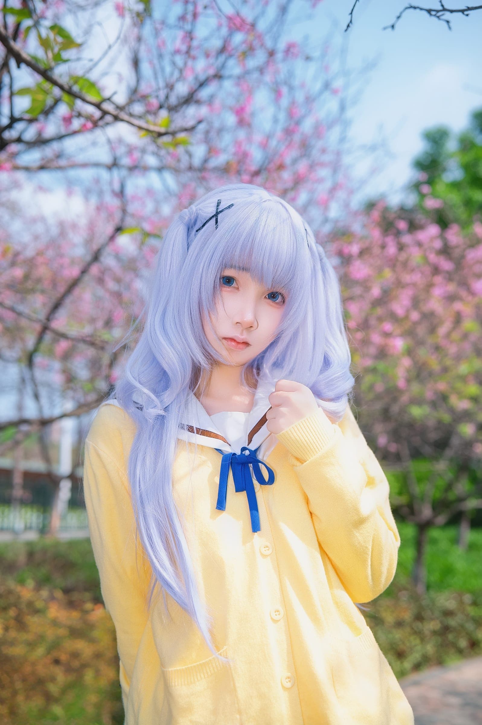 香风智乃 组图 2